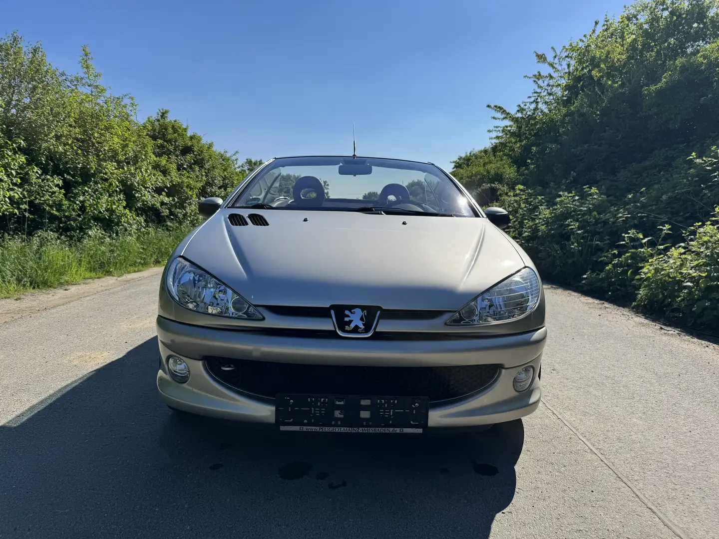Peugeot 206 CC 110 Roland Garros - 1