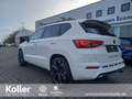 CUPRA Ateca Ateca 2.0 TSI DSG 4Drive Navi 360Kamera DCC VLED Blanc - thumbnail 7