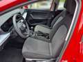 SEAT Ibiza Reference 1.0 Rot - thumbnail 11