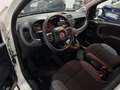 Fiat Panda Panda III 2016 4x4 0.9 t.air t. 4x4 s Weiß - thumbnail 6