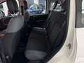 Fiat Panda Panda III 2016 4x4 0.9 t.air t. 4x4 s Weiß - thumbnail 8