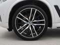 BMW X5 xDrive40i High Executive Wit - thumbnail 26