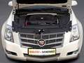 Cadillac CTS 2,8 V6 Elegance Aut. Weiß - thumbnail 11