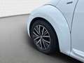 Volkswagen Maggiolino 1.2 TSI Allstar Alb - thumbnail 5