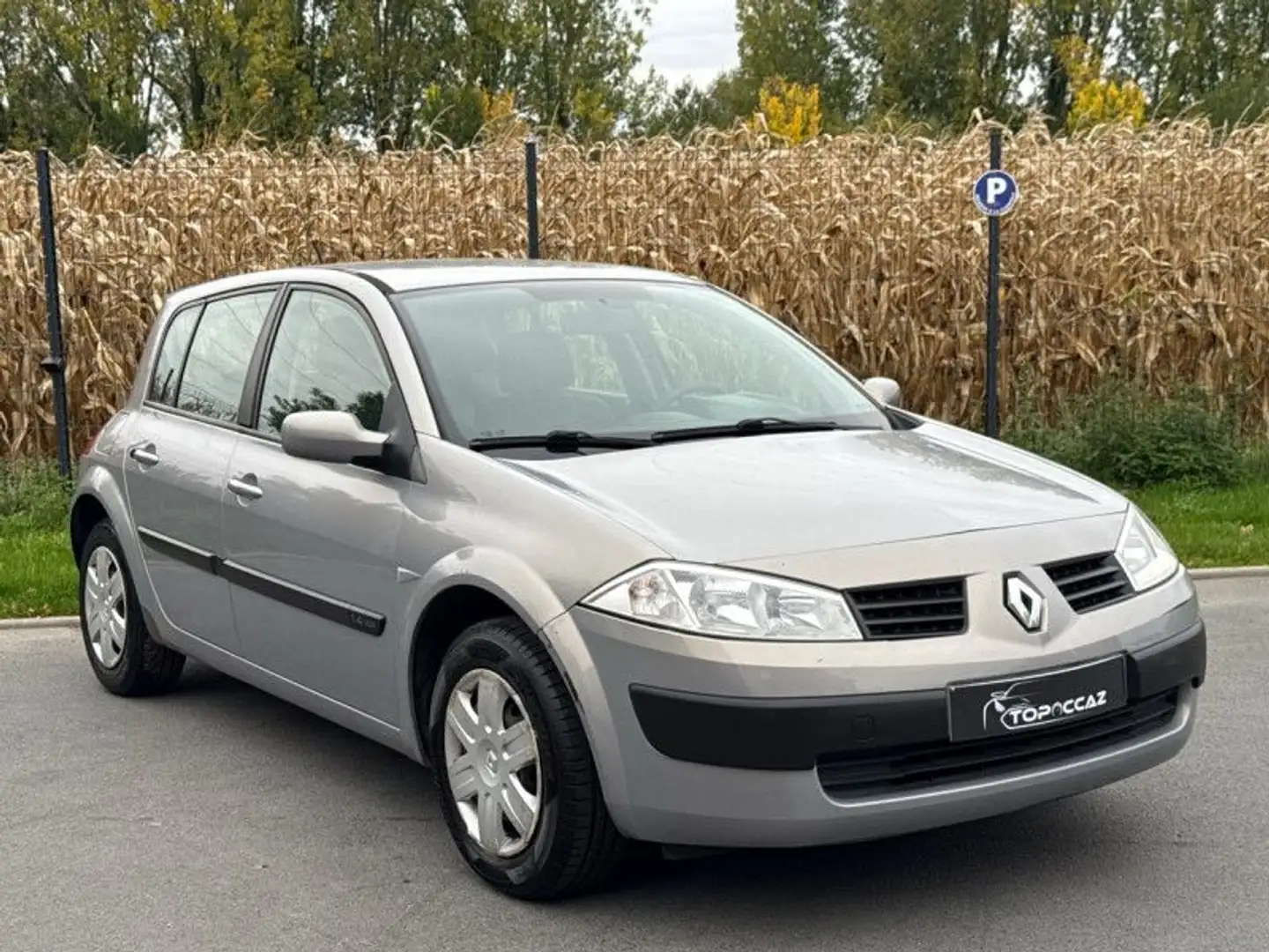 Renault Megane II 1.4 ESS 98CH PACK EXPRESSION * 61.000KM * GARANTIE Gris - 2