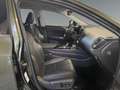 Lexus NX 450h+ E-Four Business *NAVI*CARPLAY* Grün - thumbnail 16