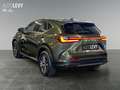 Lexus NX 450h+ E-Four Business *NAVI*CARPLAY* Grün - thumbnail 4