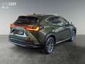 Lexus NX 450h+ E-Four Business *NAVI*CARPLAY* Grün - thumbnail 6