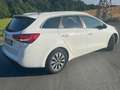 Kia Ceed SW / cee'd SW Ceed 1.6 CRDi 136 ISG SW UEFA EURO 2016 Weiß - thumbnail 4