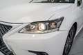 Lexus CT 200h Business Blanc - thumbnail 10