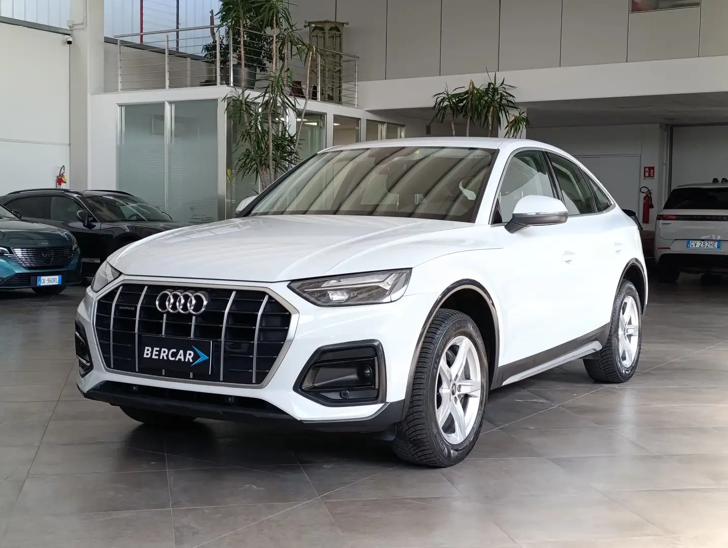 Audi Q5 Q5 40 TDI 204 CV quattro S tronic Business Advanc Wit - 1
