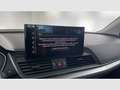 Audi 50 Advanced TFSI e quattro-ultra Grau - thumbnail 20