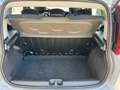 Fiat Panda Panda 1.2Easy Ok neop. PREZZO REALE NESSUN VINCOLO Gris - thumbnail 17