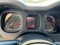 Fiat Panda Panda 1.2Easy Ok neop. PREZZO REALE NESSUN VINCOLO Gris - thumbnail 16