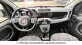 Fiat Panda City Cross,Klimaautomatik, PDC, 2.Hand Gris - thumbnail 11