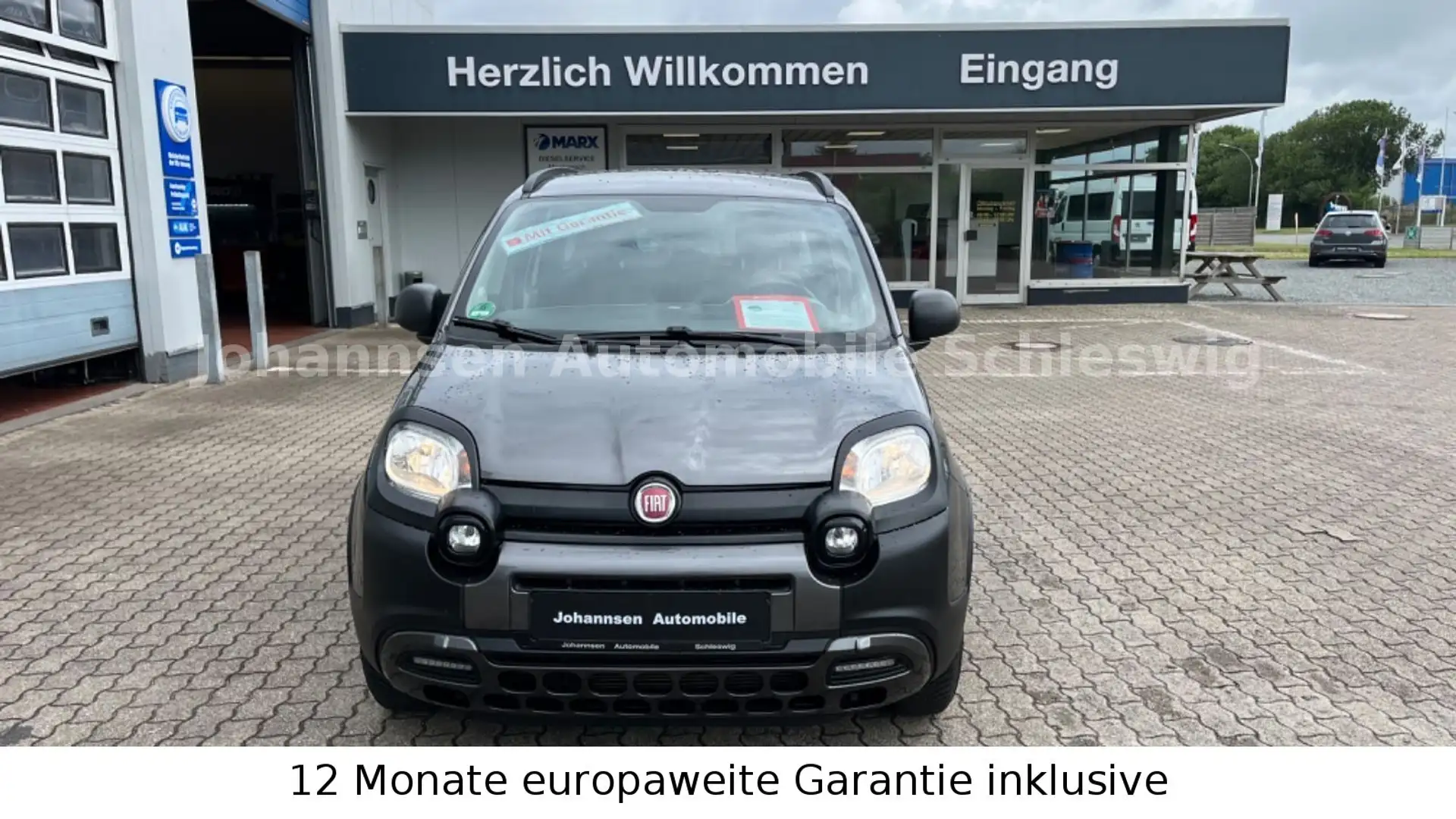 Fiat Panda City Cross,Klimaautomatik, PDC, 2.Hand Gris - 2