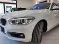 BMW 120 120d SDrive 5p. Sport Bianco - thumbnail 7