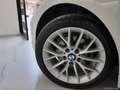 BMW 120 120d SDrive 5p. Sport Bianco - thumbnail 9