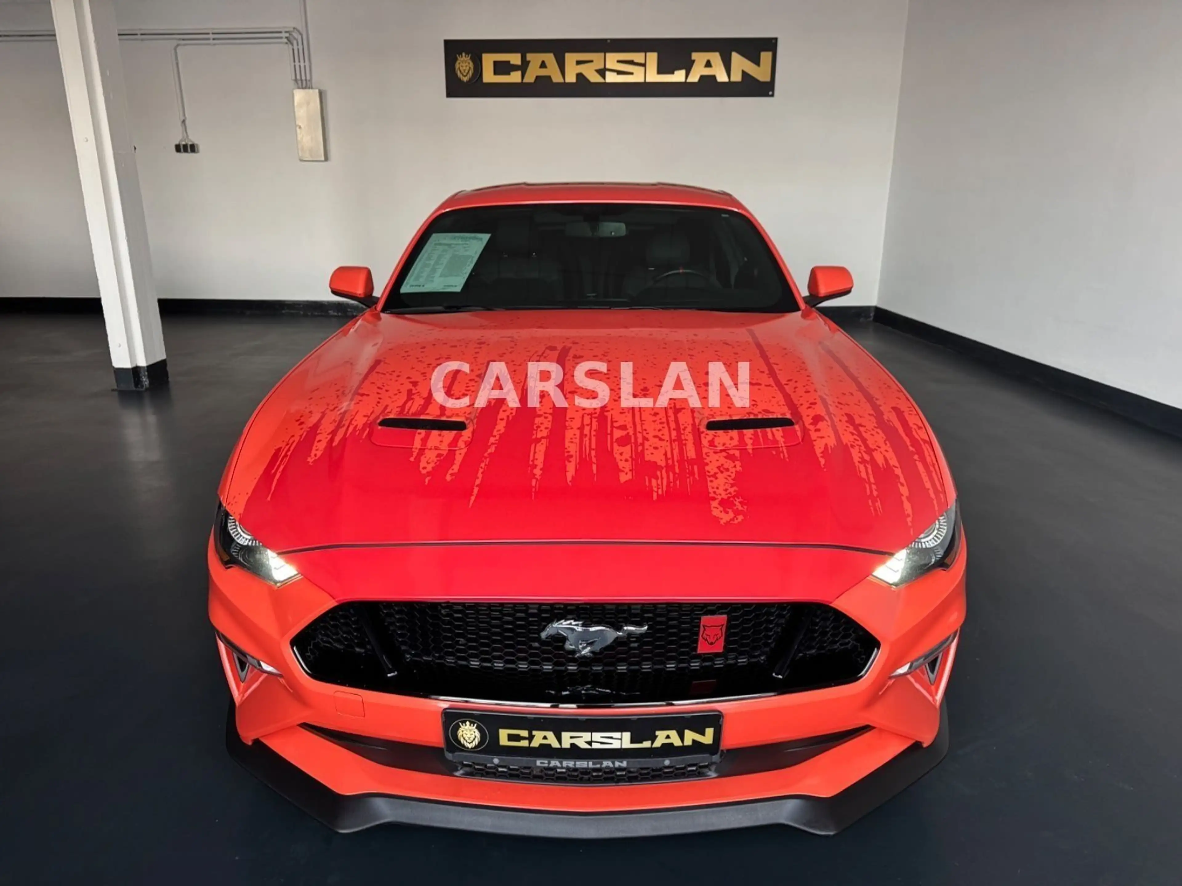 Ford Mustang 5.0 V8 SHELBY GT 500 LED+NAVI+T.LEDER — photo 3