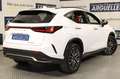Lexus NX 450h+ 450h F Sport E Four 4WD 309cv Blanco - thumbnail 5