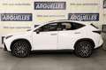 Lexus NX 450h+ 450h F Sport E Four 4WD 309cv Blanco - thumbnail 3
