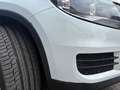 Volkswagen Tiguan Tiguan 2.0 CR TDi Sport & Style - thumbnail 12