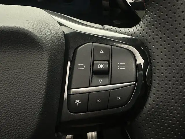 Ford Puma view 13