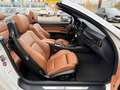 BMW 330 3er Cabrio- 330d M Sportpaket Weiß - thumbnail 14