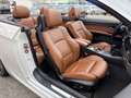 BMW 330 3er Cabrio- 330d M Sportpaket Weiß - thumbnail 18