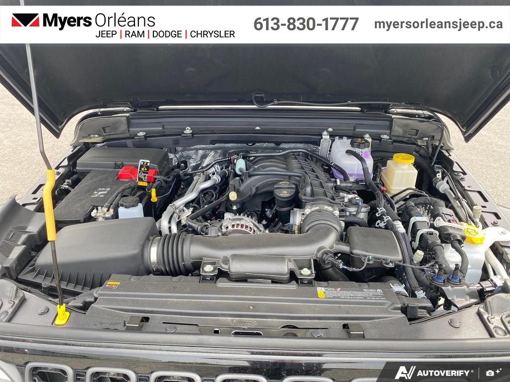 Image 12