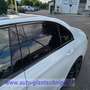 Mercedes-Benz E 220 E 220 d *Night Paket*Multibeam LED*Navi*20''Alu* Weiß - thumbnail 10