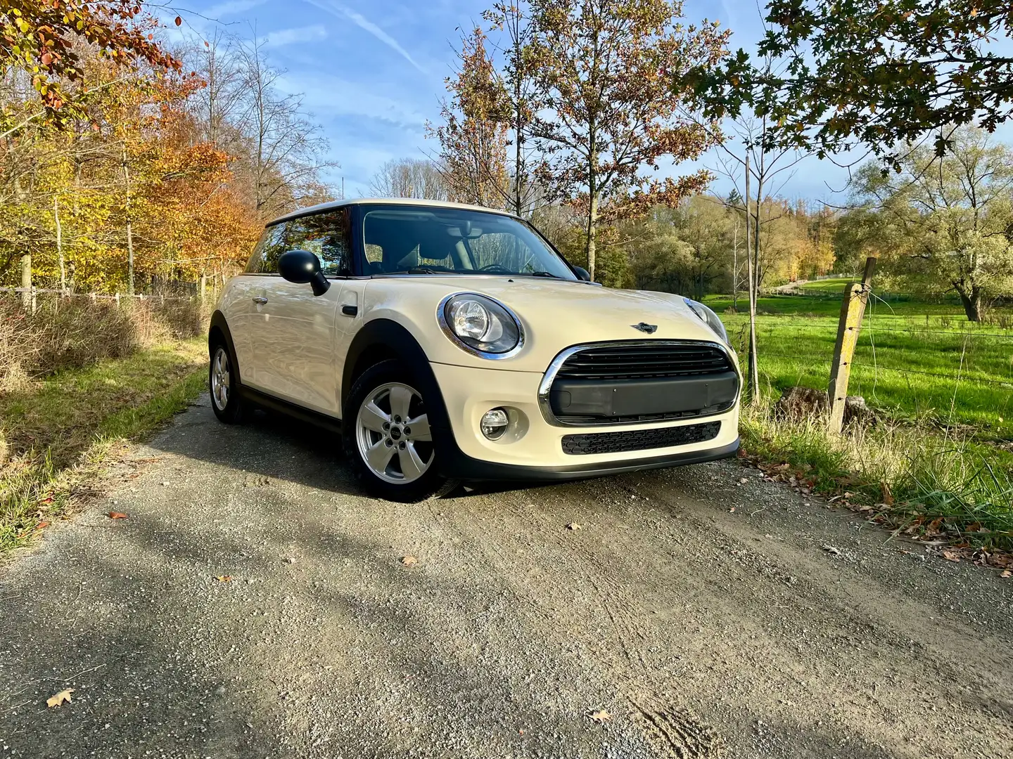 MINI One D Mini One D Bej - 1