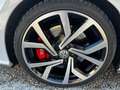 Volkswagen Golf GTI Golf 5p 2.0 tsi Gti Performance 245cv dsg Bianco - thumbnail 15