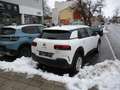 Citroen C4 Cactus BlueHDi 100 S&S Manuell Shine Weiß - thumbnail 3