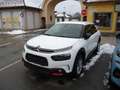 Citroen C4 Cactus BlueHDi 100 S&S Manuell Shine Weiß - thumbnail 1