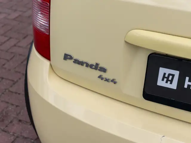 Fiat Panda view 20