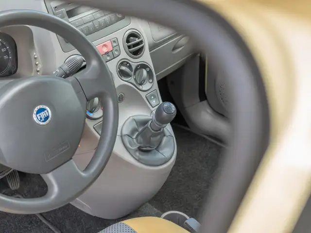 Fiat Panda view 13