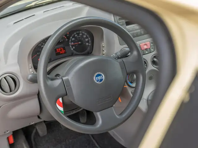 Fiat Panda view 6