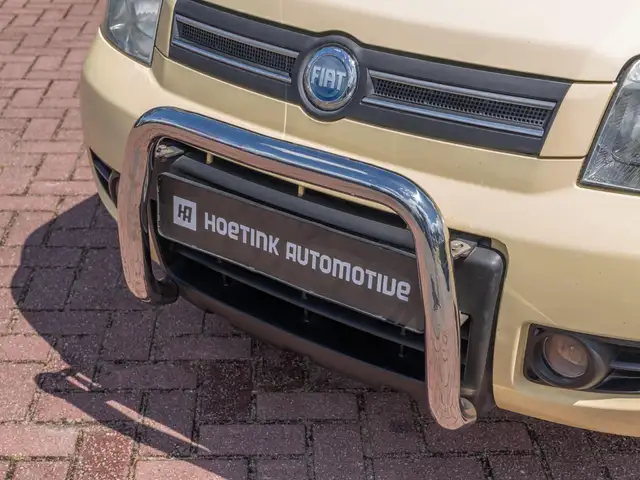 Fiat Panda view 17
