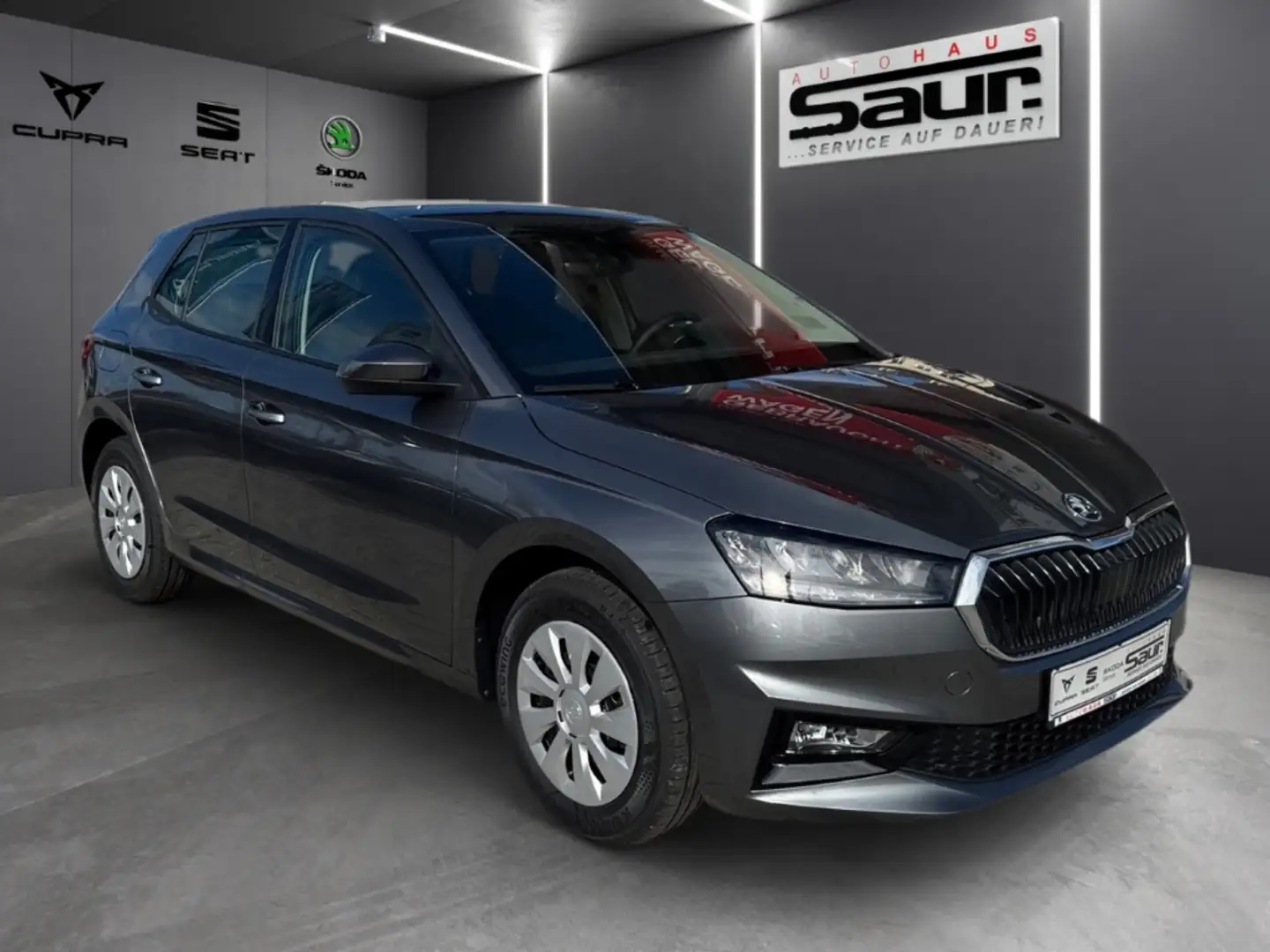 Skoda Fabia Selection 1.0 TSI SMART LINK SHZ LED KLIMA PDC KES Gris - 2