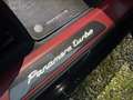 Porsche Panamera Panamera 4.0 Turbo - CON IVA 22% PREZZO TOP ITALIA - thumbnail 12