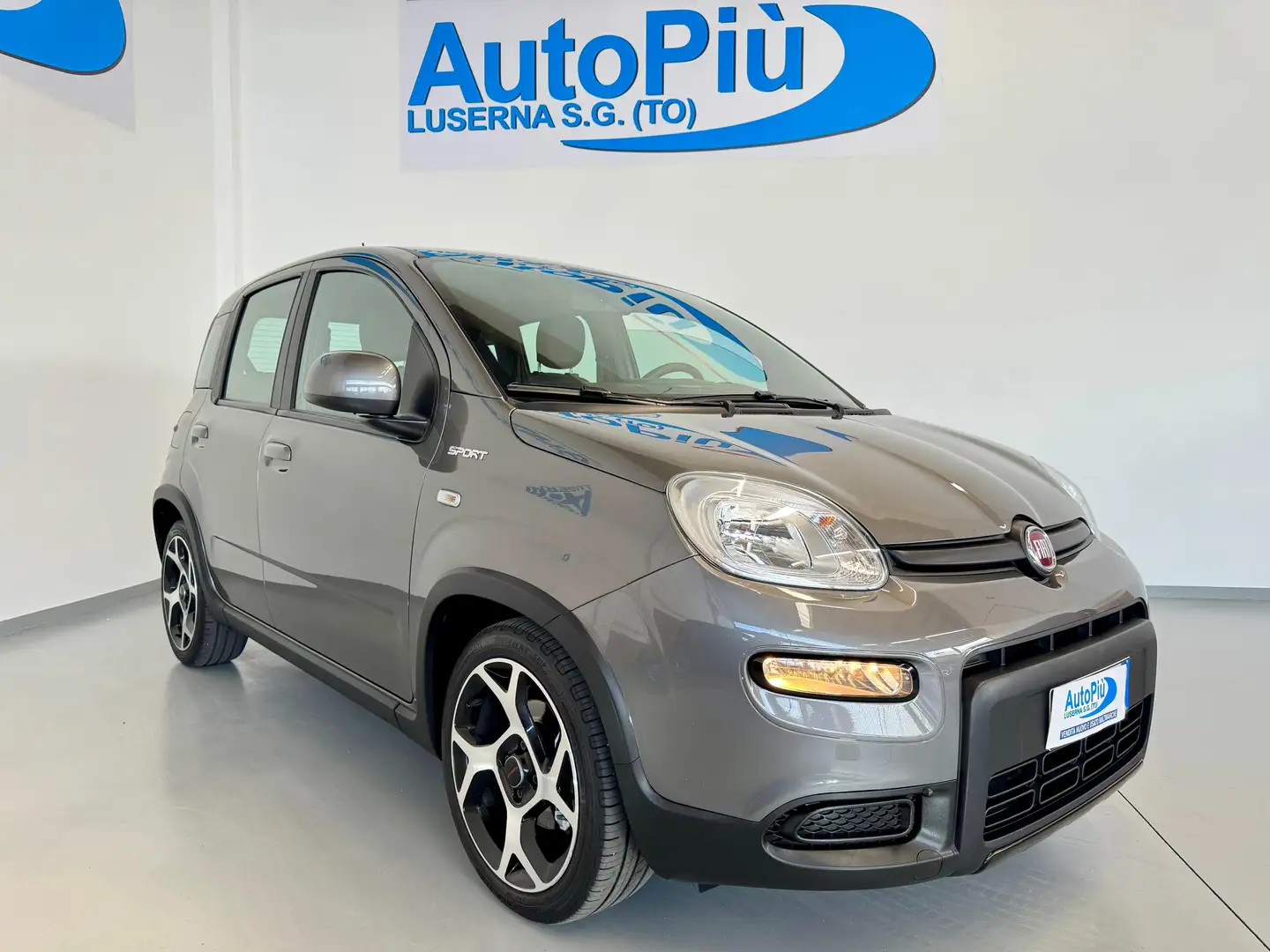 Fiat Panda Panda 1.0 firefly hybrid Sport s Gris - 2