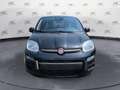 Fiat Panda 1.0 MY25 HYBRID KM0 Noir - thumbnail 2