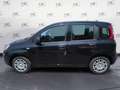 Fiat Panda 1.0 MY25 HYBRID KM0 Noir - thumbnail 5