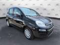 Fiat Panda 1.0 MY25 HYBRID KM0 Noir - thumbnail 3
