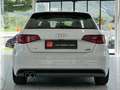 Audi A3 SB quattro Ambition 1,6 TDI   *S-Line* Weiß - thumbnail 4