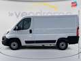 Fiat Ducato 3.0 CH1 2.3 Multijet 120ch Pro Lounge GPS Camera Blanc - thumbnail 9