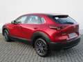 Mazda CX-30 2.5l (140PS) Prime-line Kamera Navi Voll-LED 2025 Weiß - thumbnail 6