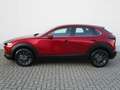 Mazda CX-30 2.5l (140PS) Prime-line Kamera Navi Voll-LED 2025 Weiß - thumbnail 4