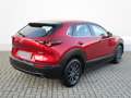 Mazda CX-30 2.5l (140PS) Prime-line Kamera Navi Voll-LED 2025 Weiß - thumbnail 5